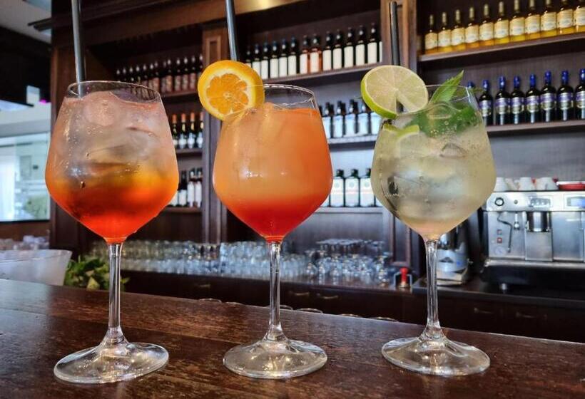 Отель Vila Restaurant Transilvania