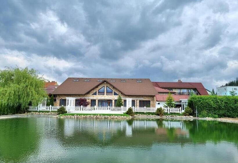 Отель Vila Restaurant Transilvania