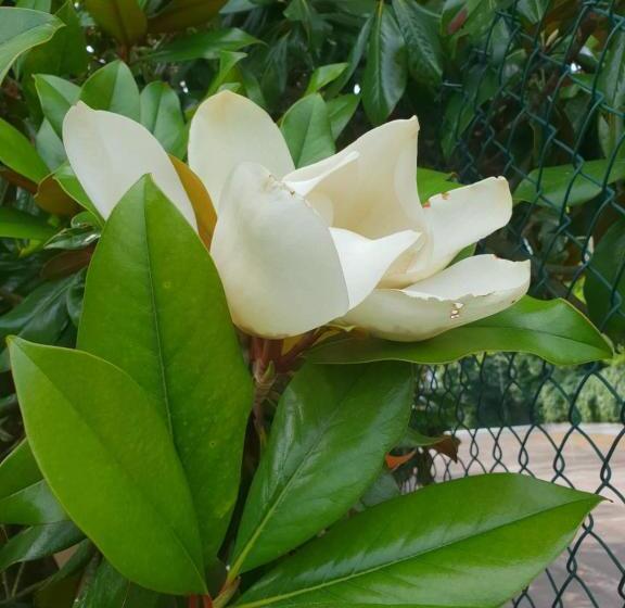 Il Giardino Di Mai Exclusive B&b