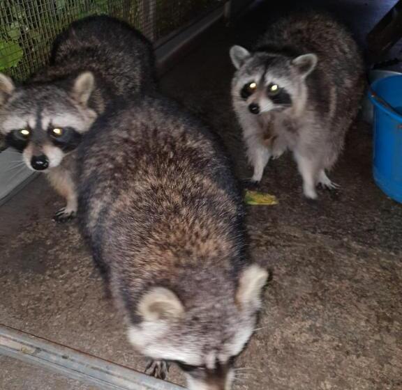 Il Giardino Di Mai Exclusive B&b