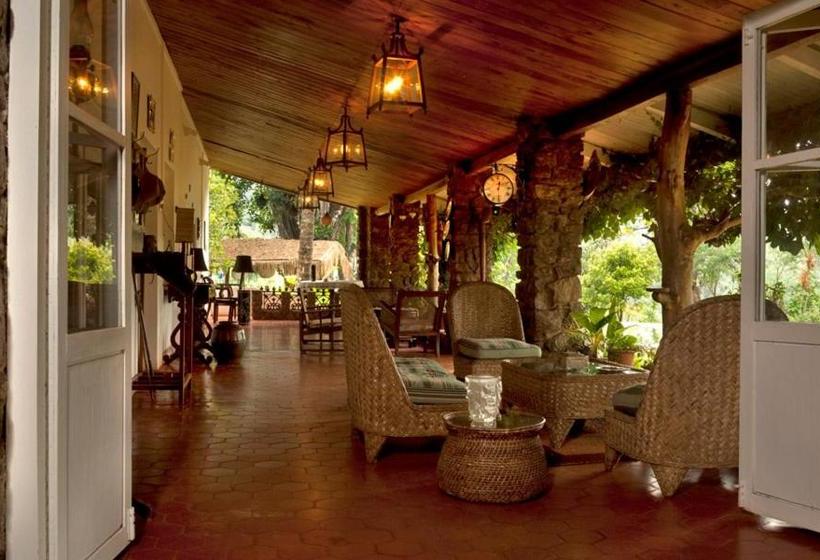 ペンション Amberina