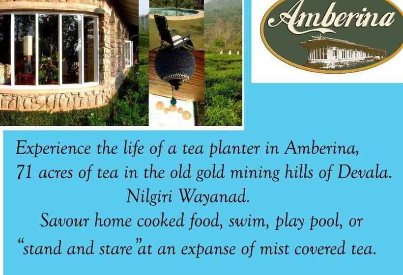 ペンション Amberina