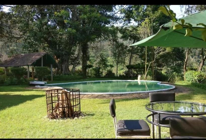 ペンション Amberina