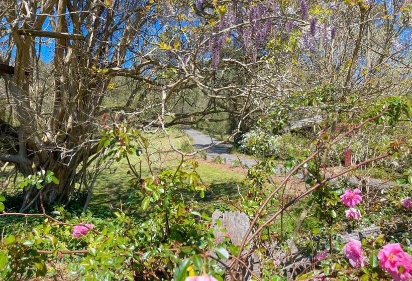 פנסיון Capers Cottage And Barn Accommodation