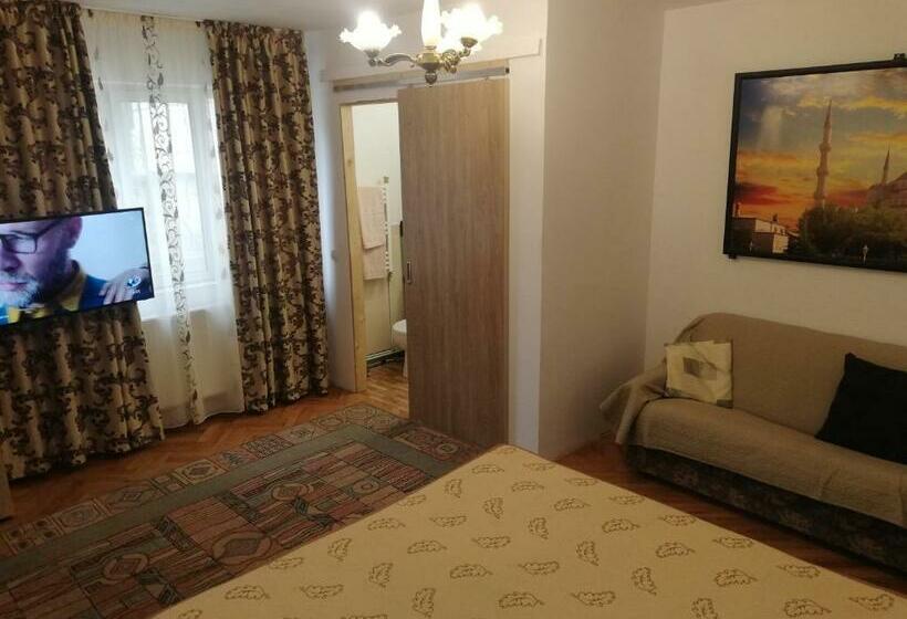 بنسيون Casa Bucur