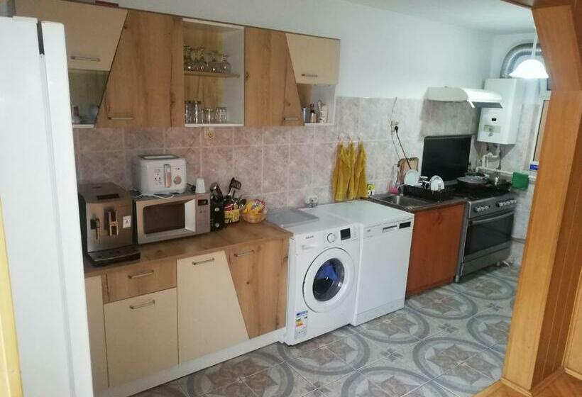 بنسيون Casa Bucur