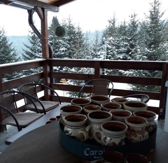 膳宿费 Casa De Vacanta Two Brothers Concept