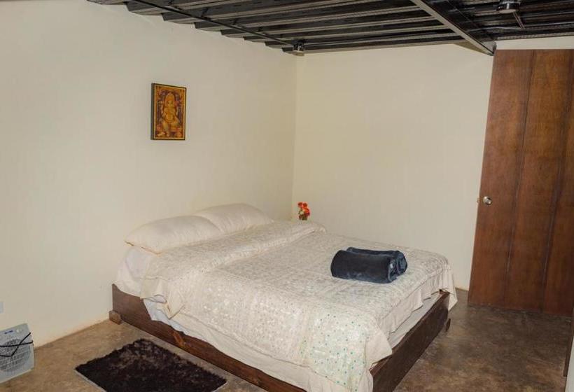 פנסיון Entre árboles Hostal