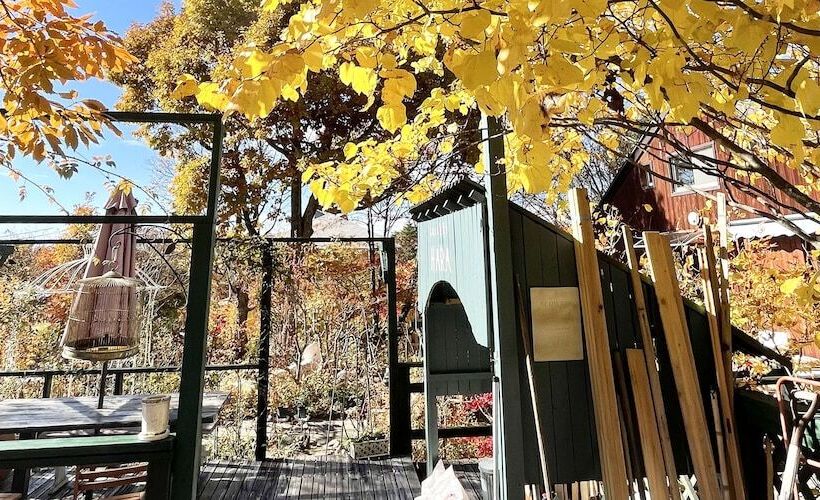 بنسيون Gallery Hara And Guest House
