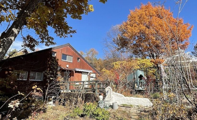 פנסיון Gallery Hara And Guest House