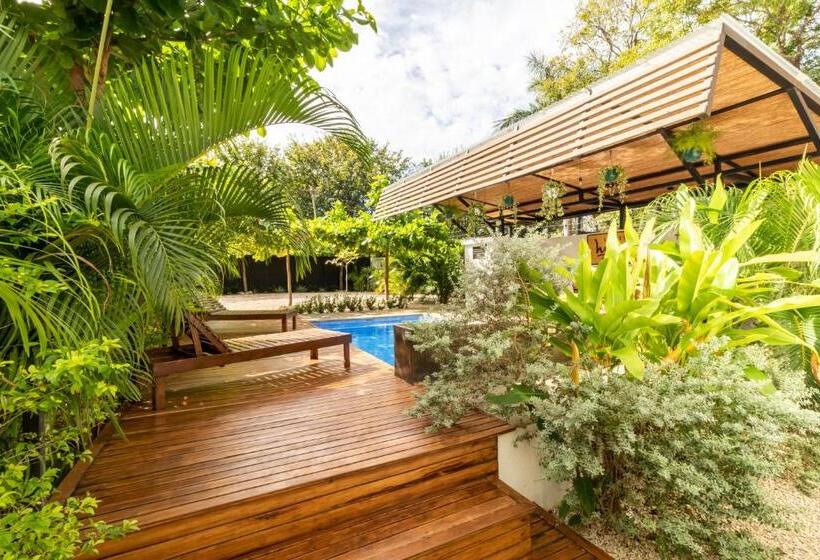 펜션 Little Hawaii Avellanas