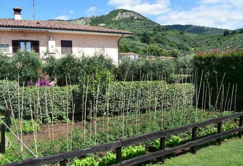 بنسيون Locanda Pinocchio