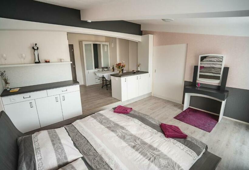 膳宿费 Luční Penzion