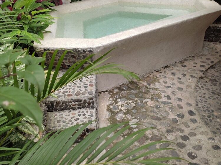 膳宿费 Manakin Tayrona