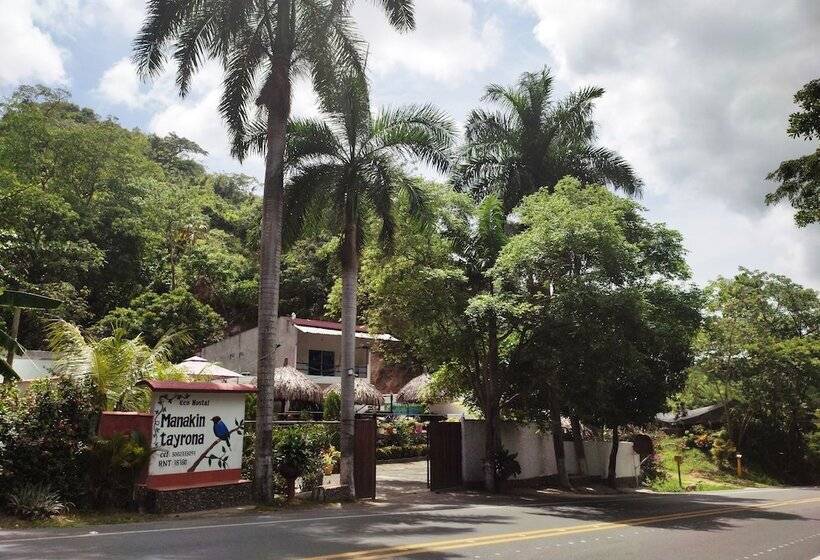 膳宿费 Manakin Tayrona