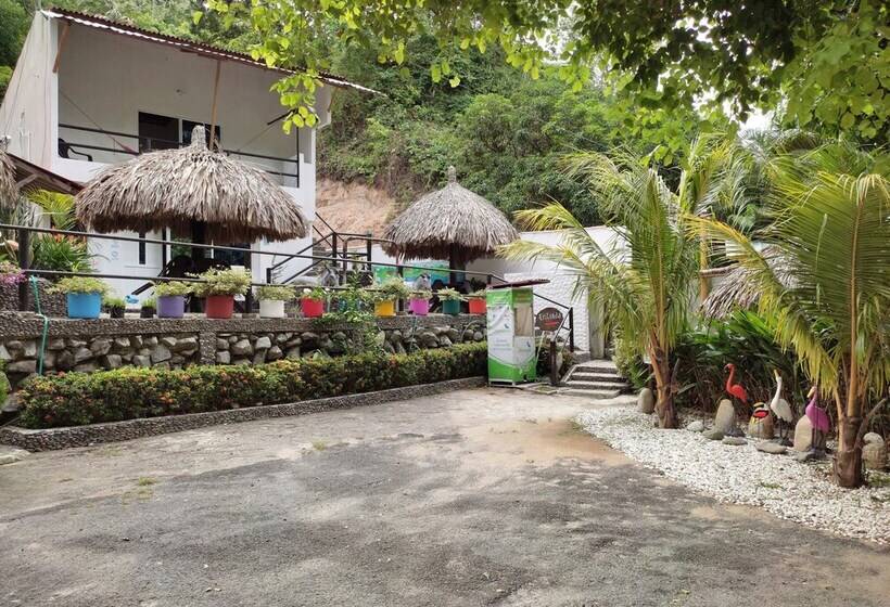 膳宿费 Manakin Tayrona