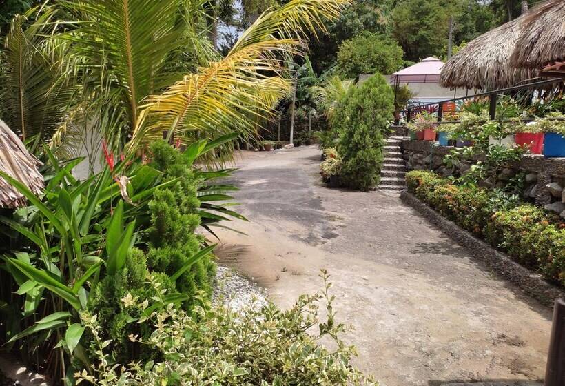 پانسیون Manakin Tayrona