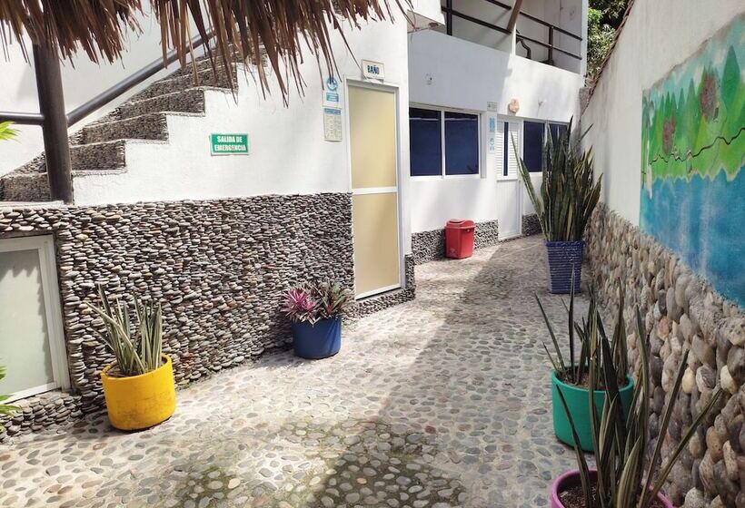 膳宿费 Manakin Tayrona