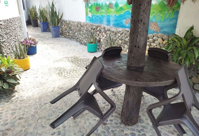 膳宿费 Manakin Tayrona