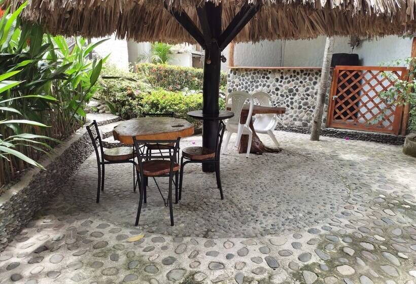 膳宿费 Manakin Tayrona