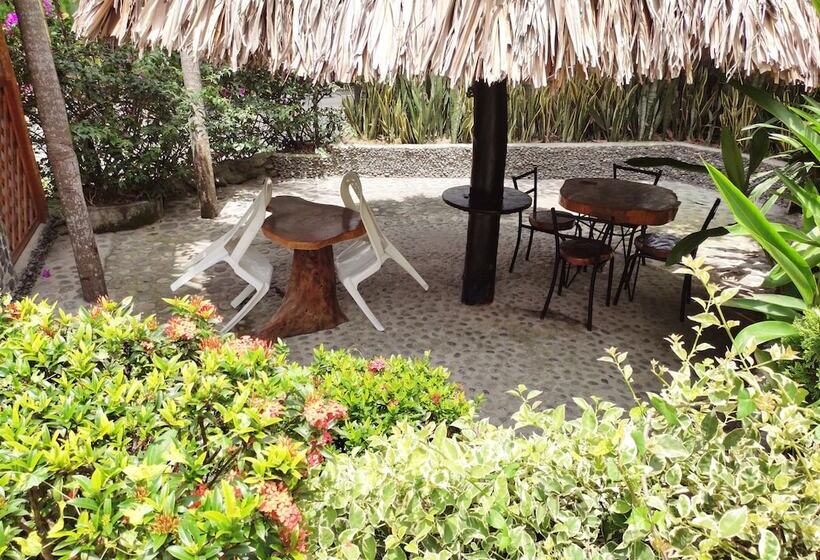 膳宿费 Manakin Tayrona