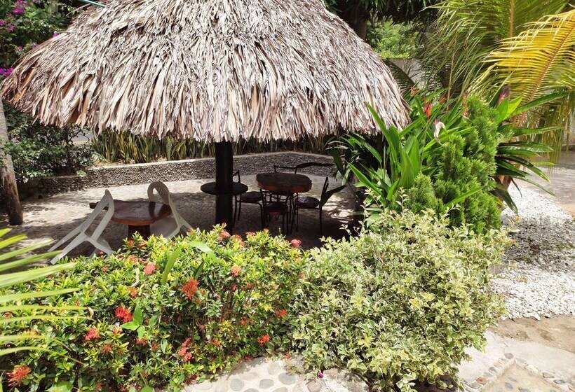 膳宿费 Manakin Tayrona