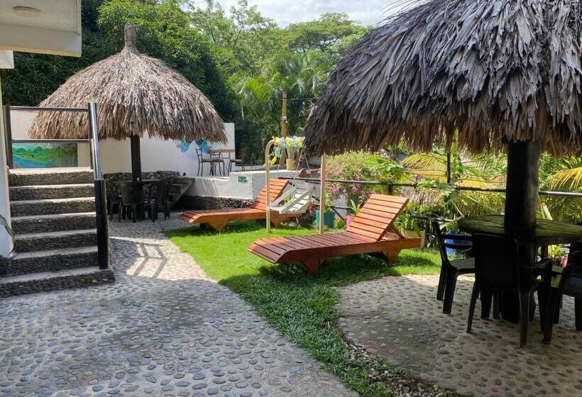 膳宿费 Manakin Tayrona