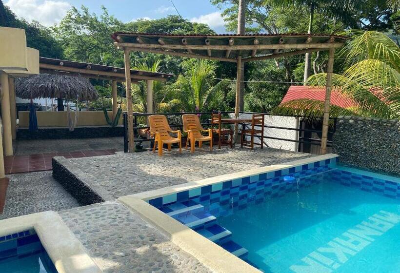 膳宿费 Manakin Tayrona