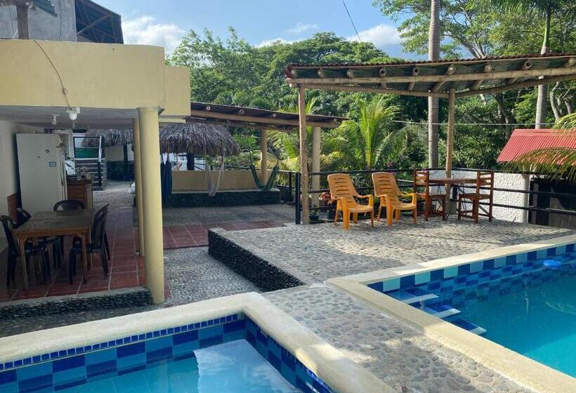 膳宿费 Manakin Tayrona