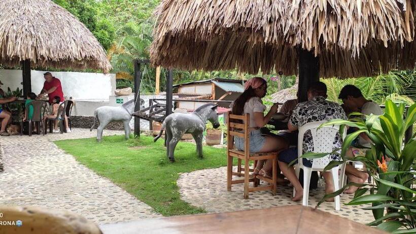 膳宿费 Manakin Tayrona