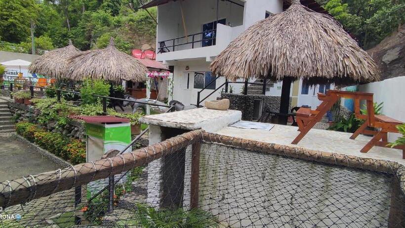 膳宿费 Manakin Tayrona