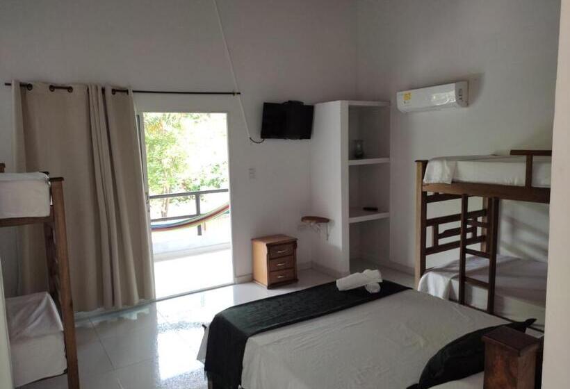 膳宿费 Manakin Tayrona