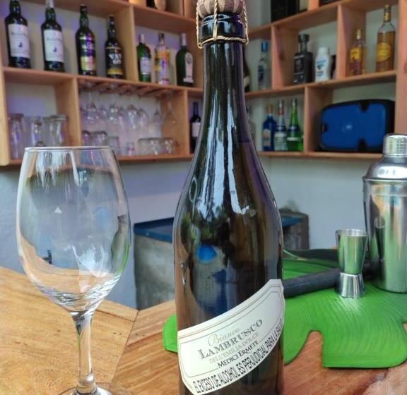 膳宿费 Manakin Tayrona