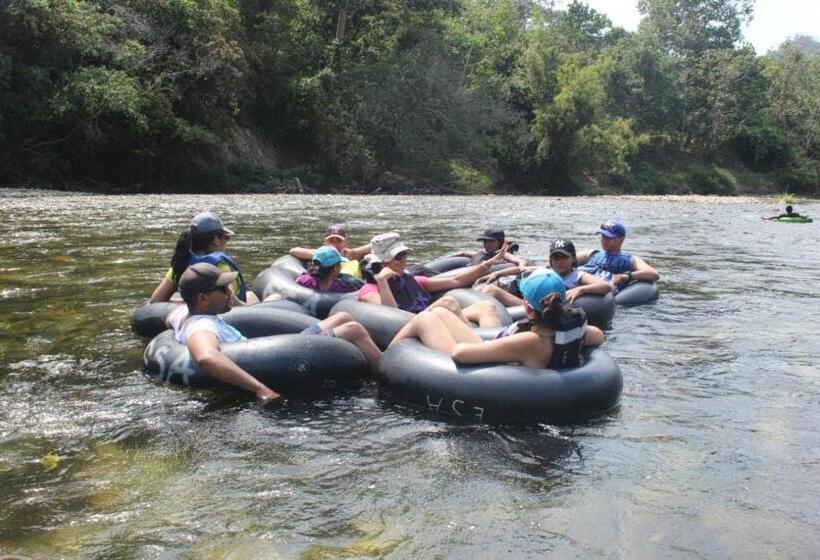 膳宿费 Manakin Tayrona