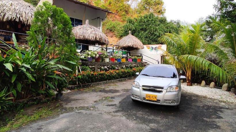 膳宿费 Manakin Tayrona