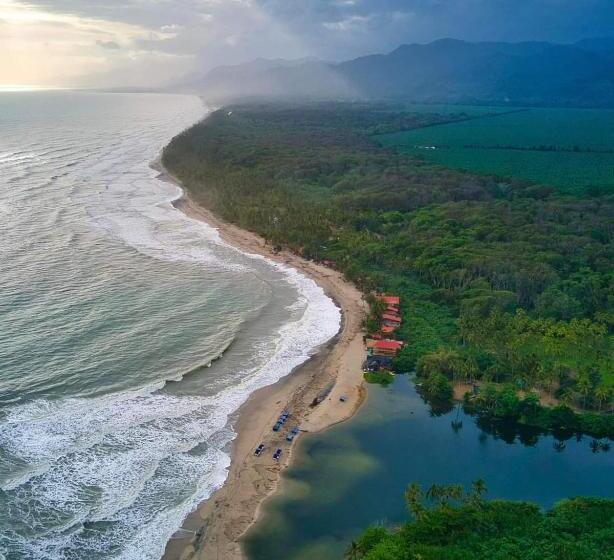 膳宿费 Manakin Tayrona