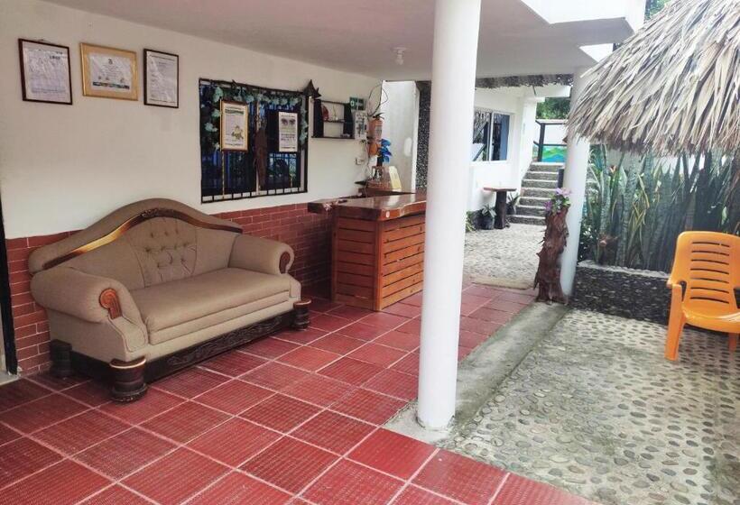 膳宿费 Manakin Tayrona