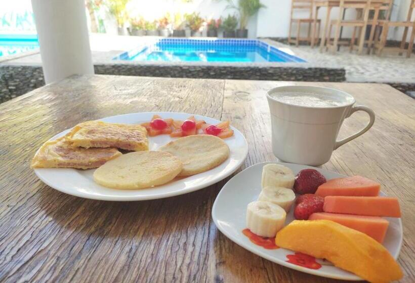 膳宿费 Manakin Tayrona