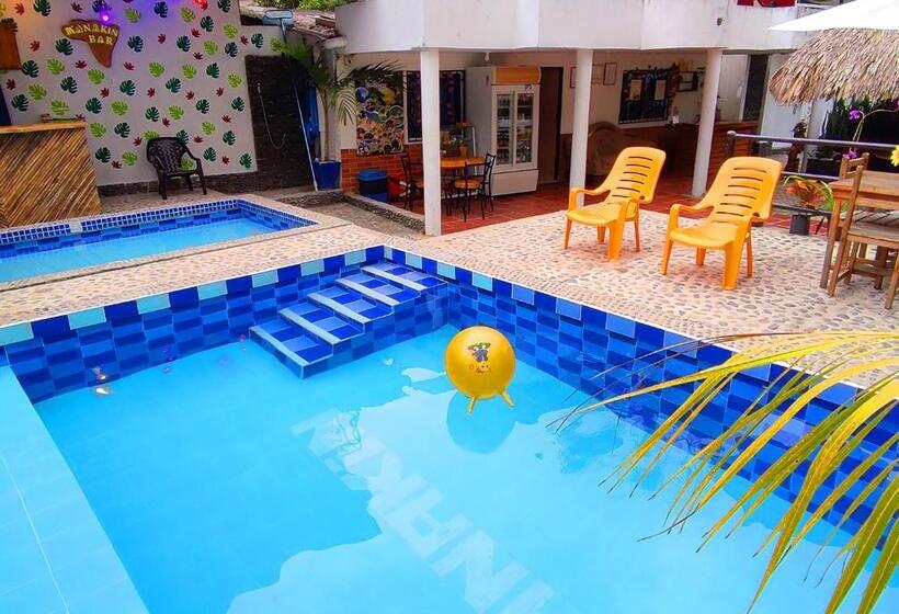 膳宿费 Manakin Tayrona