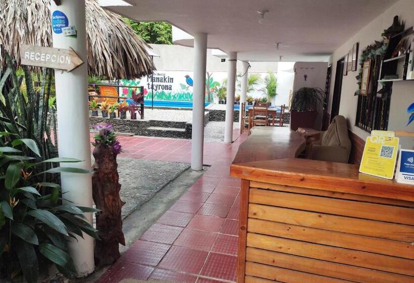 膳宿费 Manakin Tayrona