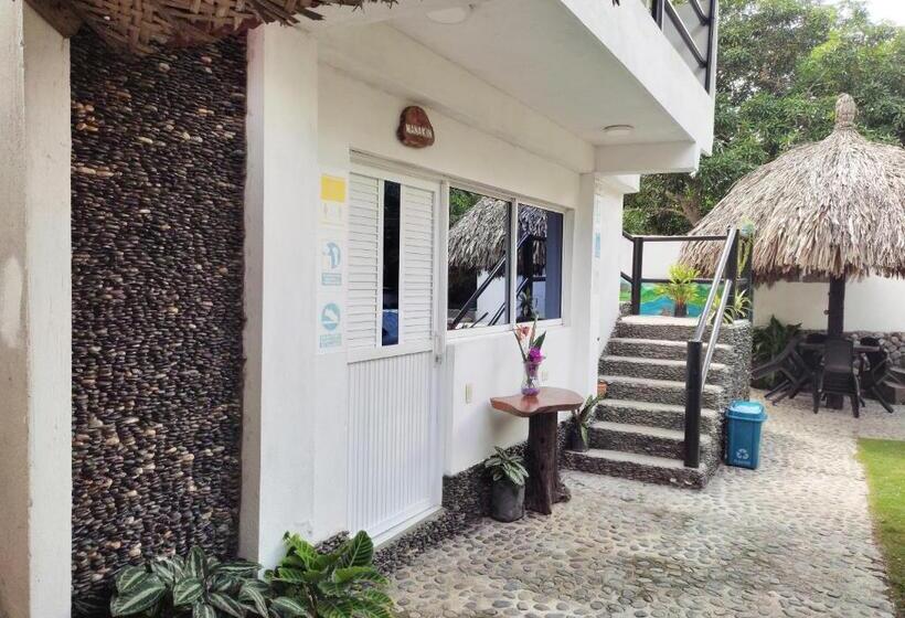 膳宿费 Manakin Tayrona