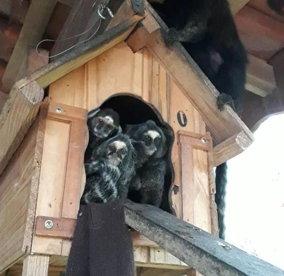 ペンション Recanto Da Paz Fyona