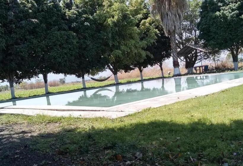 膳宿费 Room In Guest Room Lodging And Camping The Island