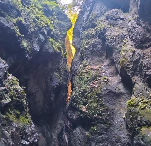 بنسيون Turistická Ubytovňa Hornád