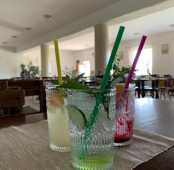 بنسيون Turistická Ubytovňa Hornád