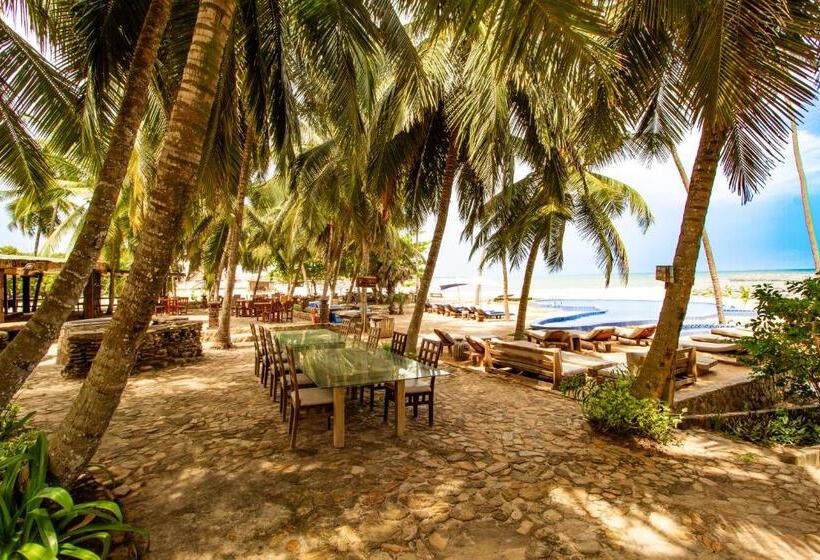 The C Resort & Residences