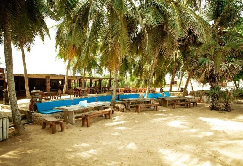 The C Resort & Residences