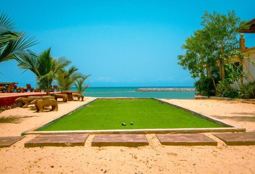 The C Resort & Residences