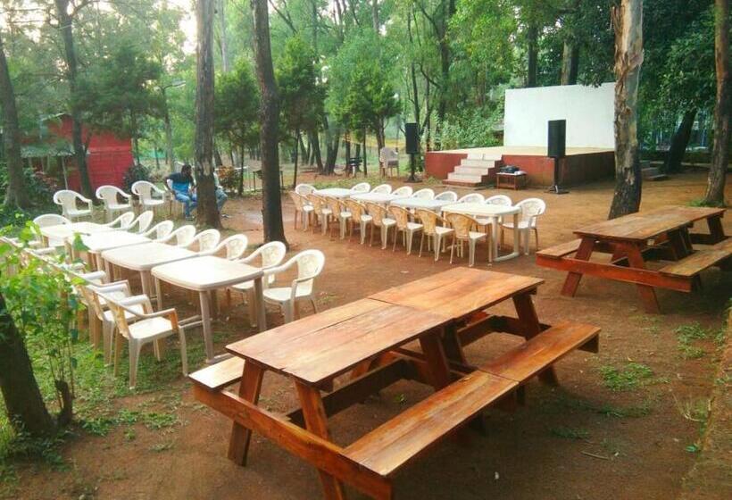 The Jungle Resort Amba
