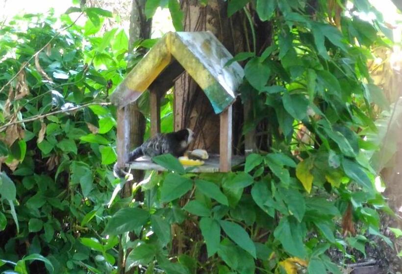 فندق صغير Pousada Container Eco Manguinhos